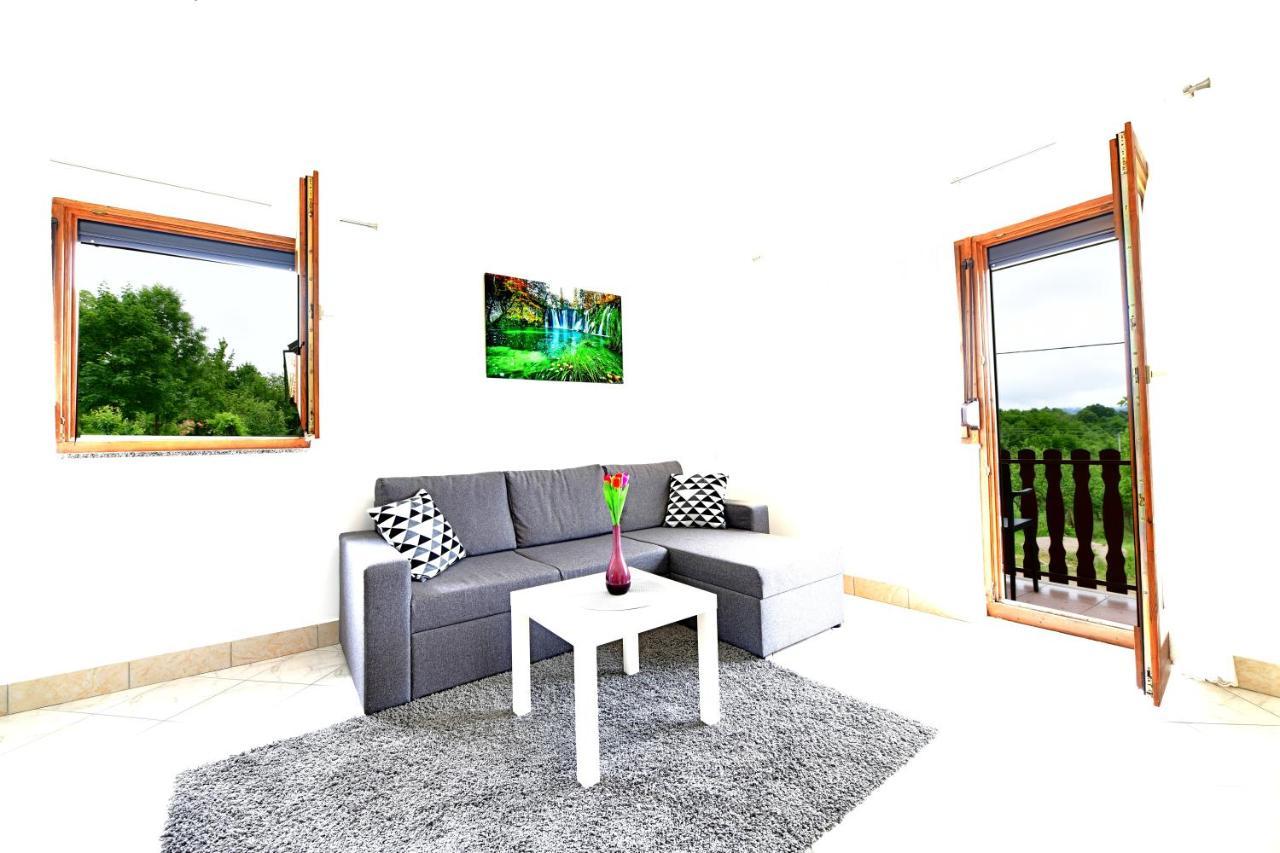 Apartman Mate Rakovica Buitenkant foto