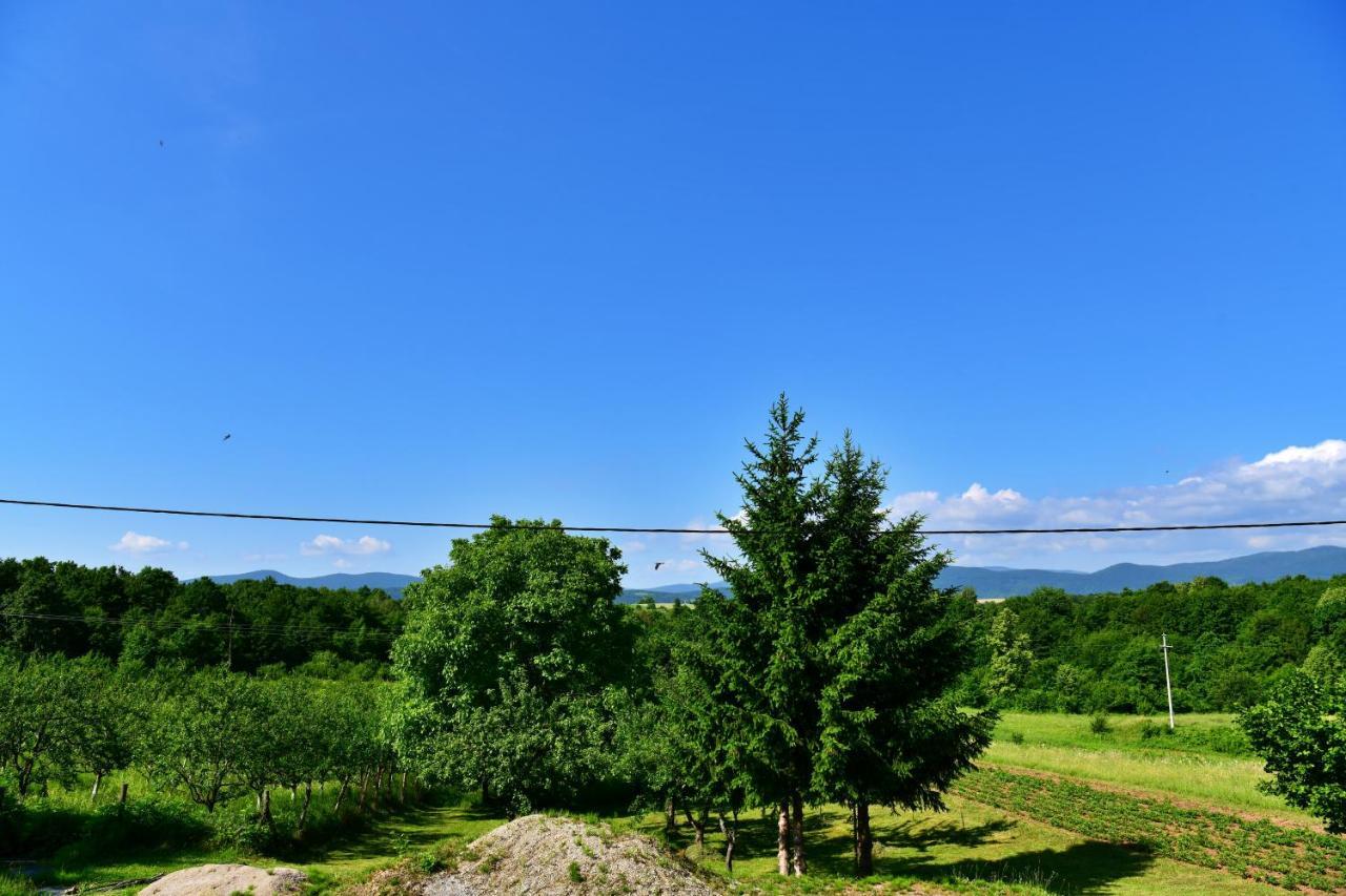 Apartman Mate Rakovica Buitenkant foto