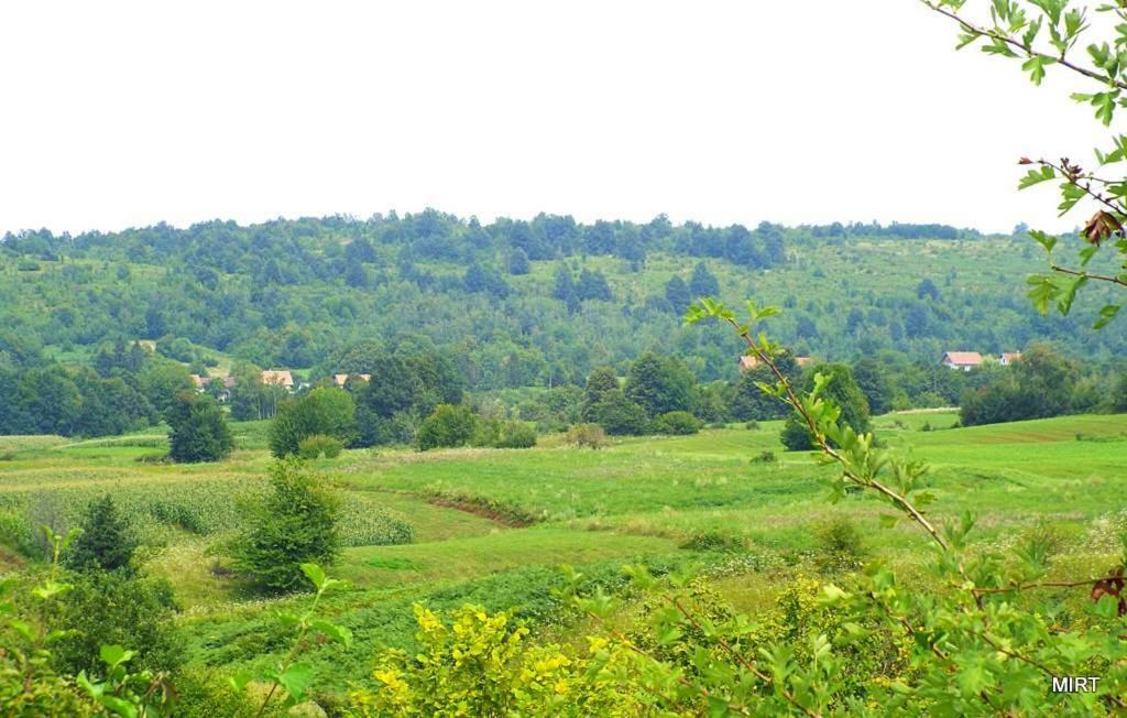 Apartman Mate Rakovica Buitenkant foto